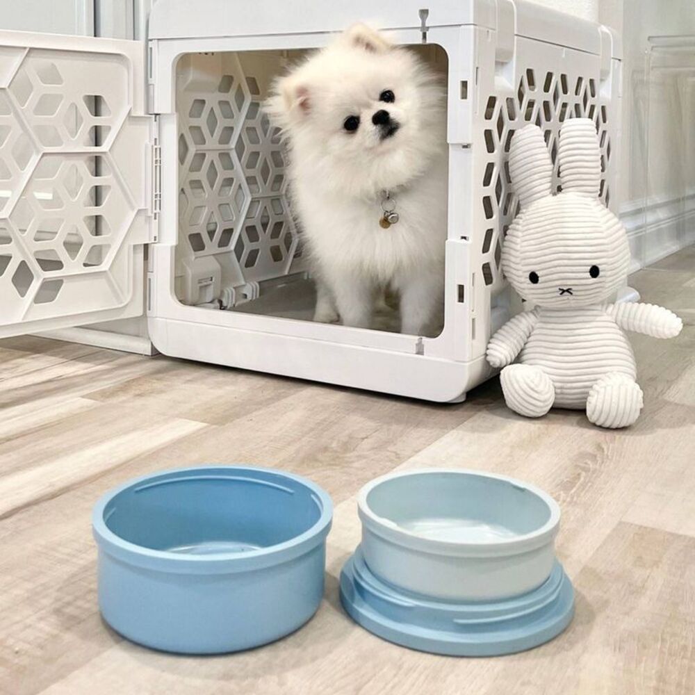 KindTail -  20 fl oz Portable 2pc Dog Bowl Set - S -  Spruce - Picture 7 of 7